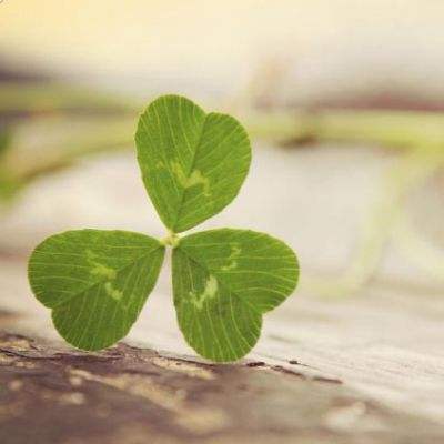 快盈lV购彩大厅下载手机版